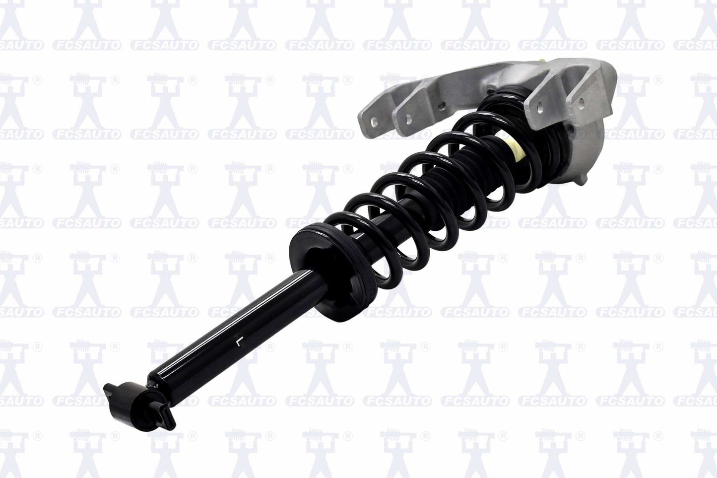 Focus Auto Parts Suspension Strut and Coil Spring Assembly 1345709L