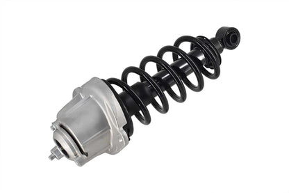 Focus Auto Parts Suspension Strut and Coil Spring Assembly 1345823L