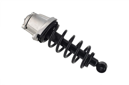 Focus Auto Parts Suspension Strut and Coil Spring Assembly 1345823L