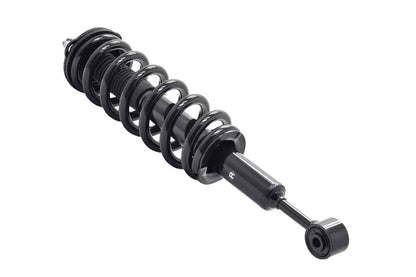 Focus Auto Parts Suspension Strut and Coil Spring Assembly 1355030R