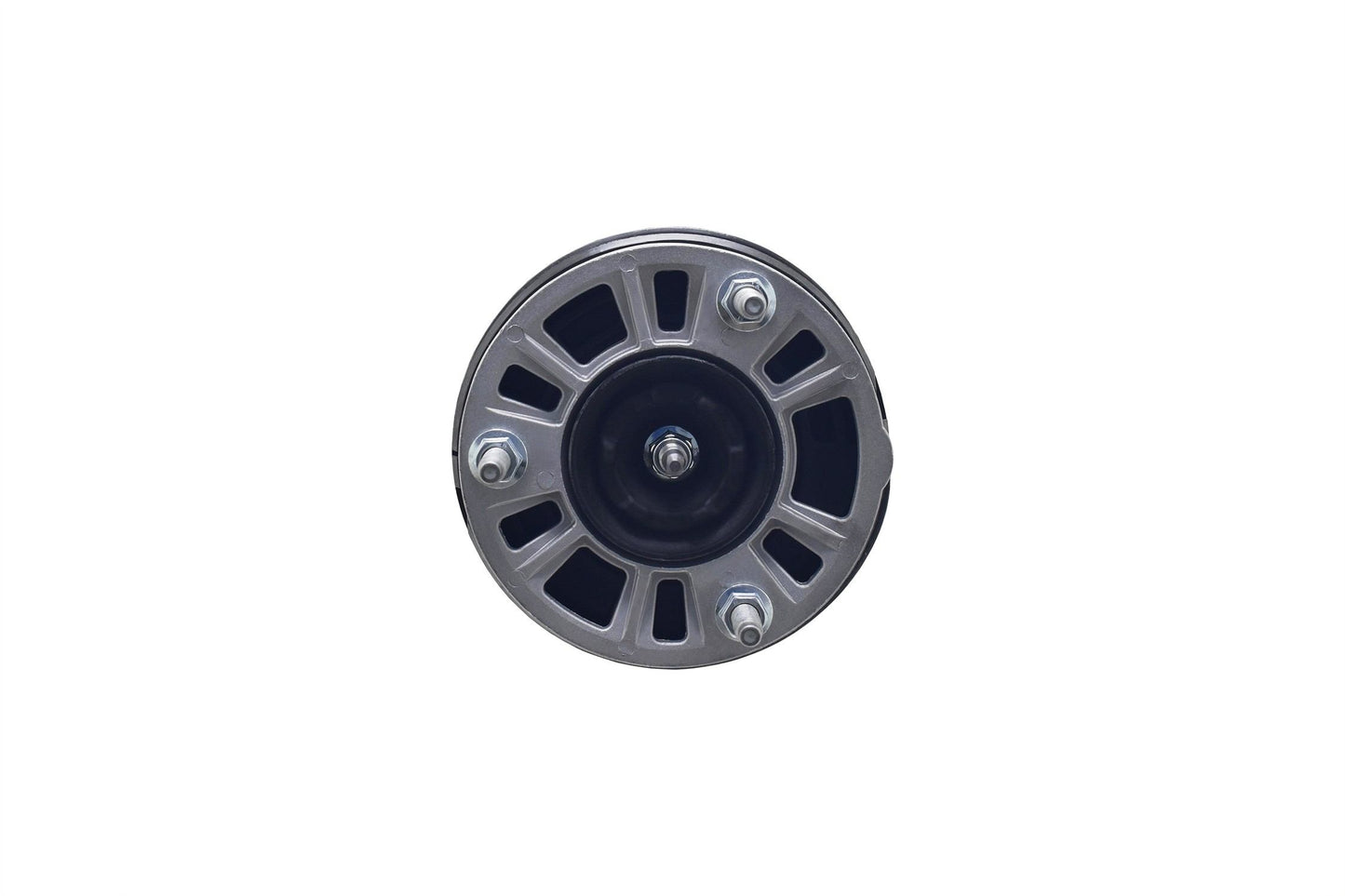 FCS Struts 1355071
