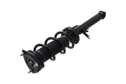 FCS Struts 1355130R