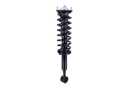 FCS Struts 1355161