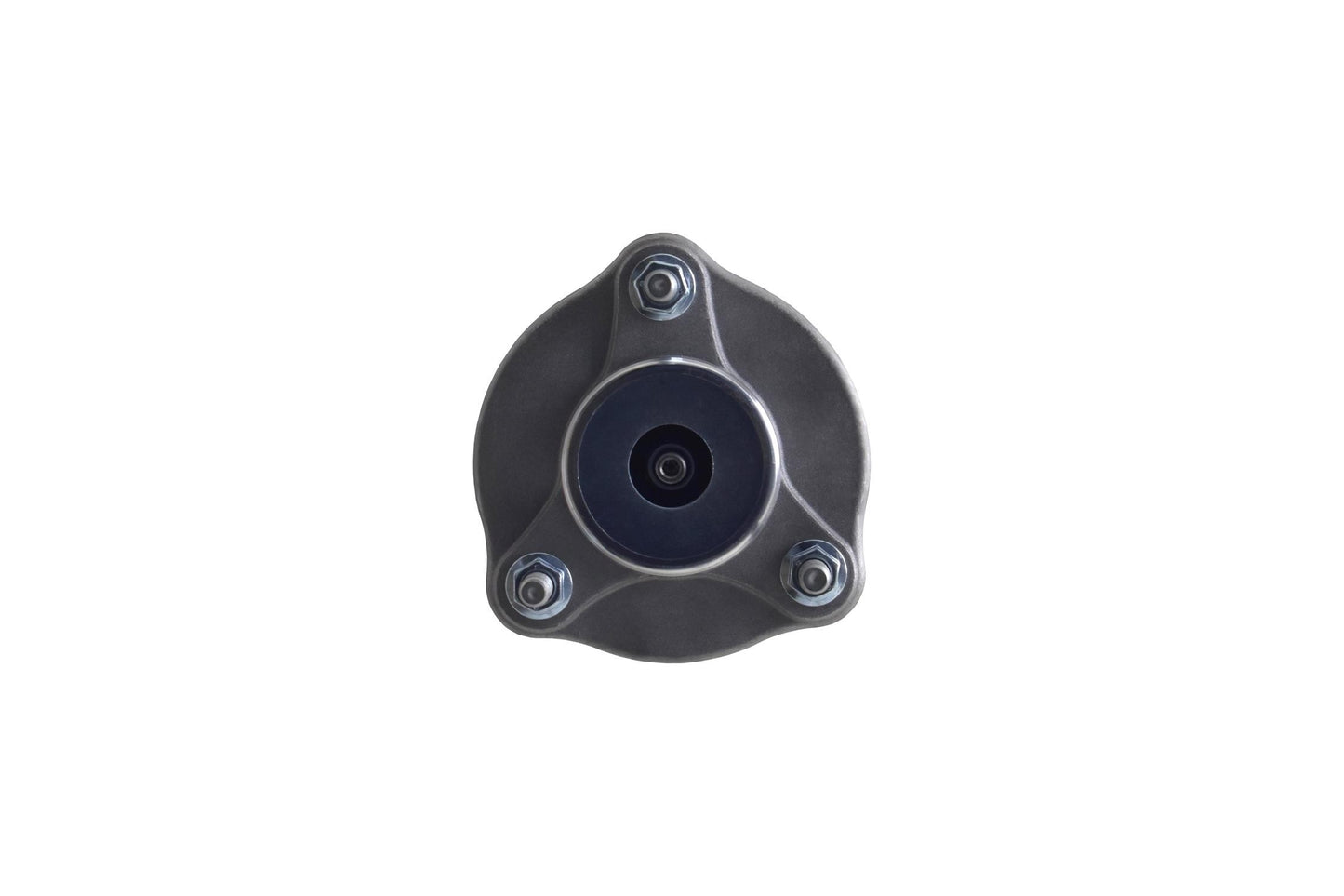 FCS Struts 1355172L