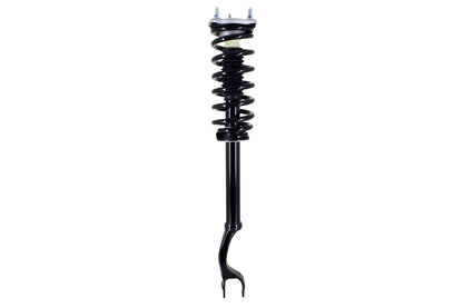 FCS Struts 1355174L