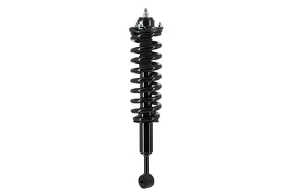 FCS Struts 1355177L
