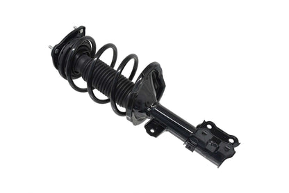 Focus Auto Parts Suspension Strut and Coil Spring Assembly 2331579R