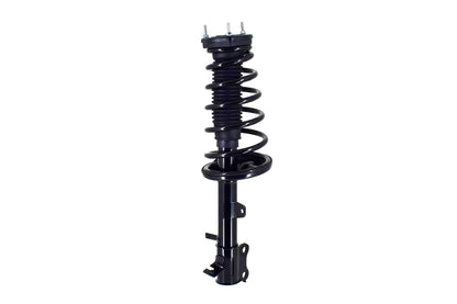 Focus Auto Parts Suspension Strut and Coil Spring Assembly 2331590R