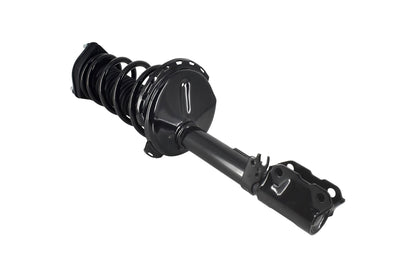 Focus Auto Parts Suspension Strut and Coil Spring Assembly 2331613L