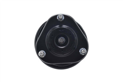 Focus Auto Parts Suspension Strut and Coil Spring Assembly 2331622L