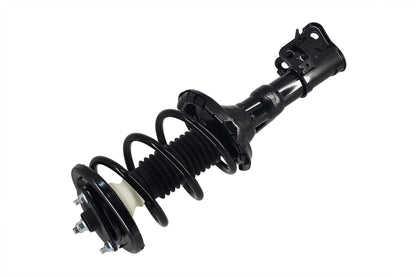 Focus Auto Parts Suspension Strut and Coil Spring Assembly 2331632L