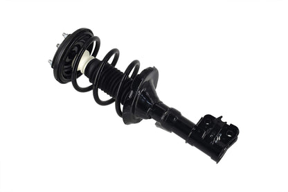 Focus Auto Parts Suspension Strut and Coil Spring Assembly 2331632L