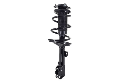 Focus Auto Parts Suspension Strut and Coil Spring Assembly 2331660L