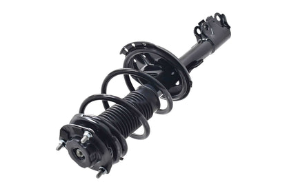 Focus Auto Parts Suspension Strut and Coil Spring Assembly 2331660R