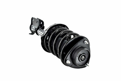 Focus Auto Parts Suspension Strut and Coil Spring Assembly 2331762L
