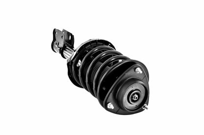 Focus Auto Parts Suspension Strut and Coil Spring Assembly 2331762R