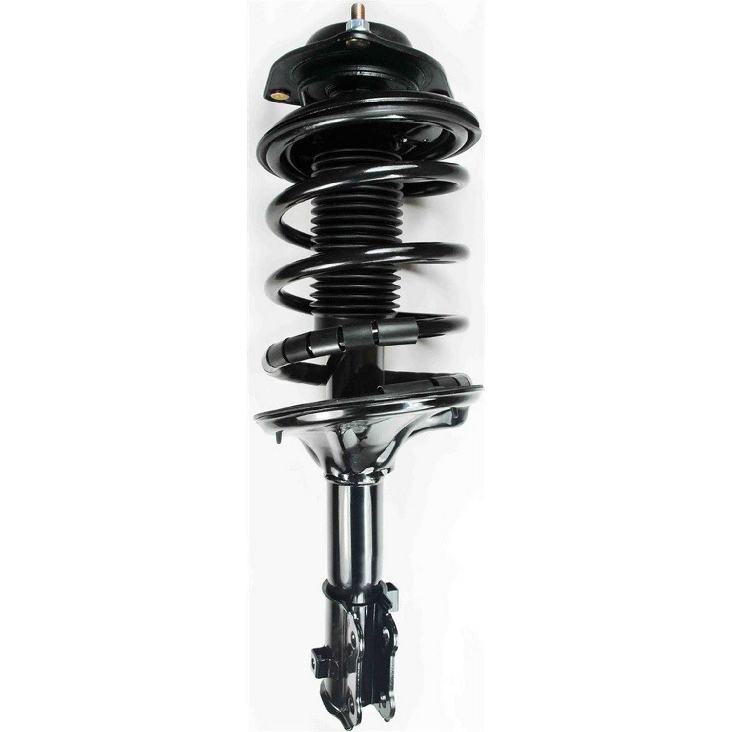 Focus Auto Parts Suspension Strut and Coil Spring Assembly 2331794L