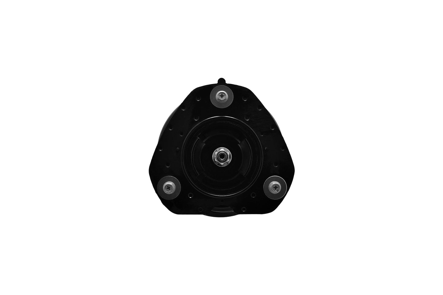 Focus Auto Parts Suspension Strut and Coil Spring Assembly 2331839L