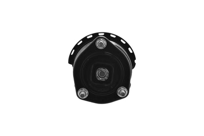 Focus Auto Parts Suspension Strut and Coil Spring Assembly 2333320R
