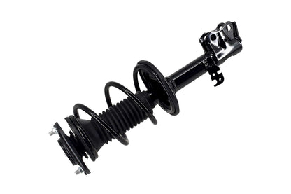 Focus Auto Parts Suspension Strut and Coil Spring Assembly 2333412L