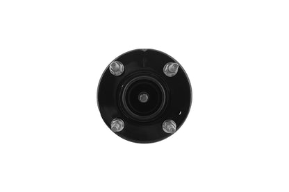 Focus Auto Parts Suspension Strut and Coil Spring Assembly 2333489L