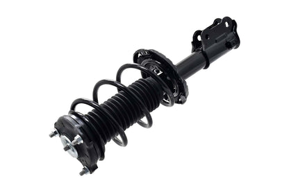 Focus Auto Parts Suspension Strut and Coil Spring Assembly 2334051L