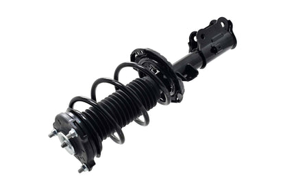 Focus Auto Parts Suspension Strut and Coil Spring Assembly 2334051R