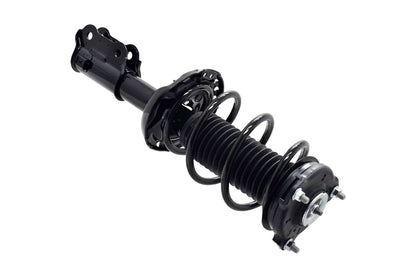 Focus Auto Parts Suspension Strut and Coil Spring Assembly 2334051R