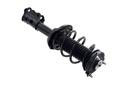Focus Auto Parts Suspension Strut and Coil Spring Assembly 2334069L