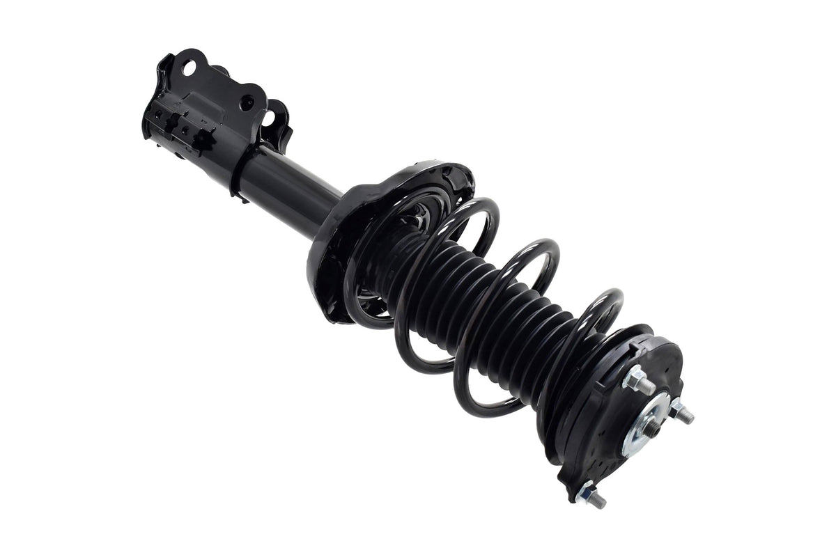 Focus Auto Parts Suspension Strut and Coil Spring Assembly 2334069L