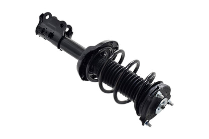 Focus Auto Parts Suspension Strut and Coil Spring Assembly 2334069L