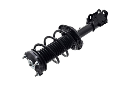 Focus Auto Parts Suspension Strut and Coil Spring Assembly 2334069R
