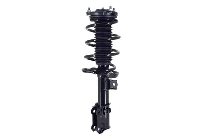 FCS Struts 2334488L