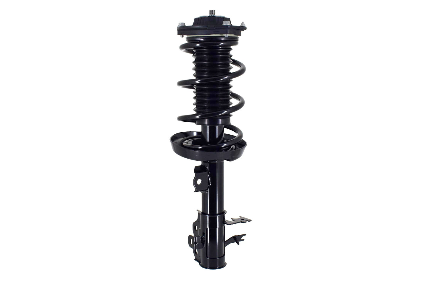 FCS Struts 2334489L