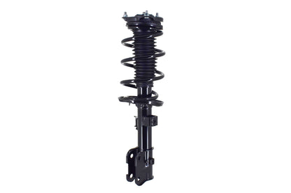 FCS Struts 2334573L image 5