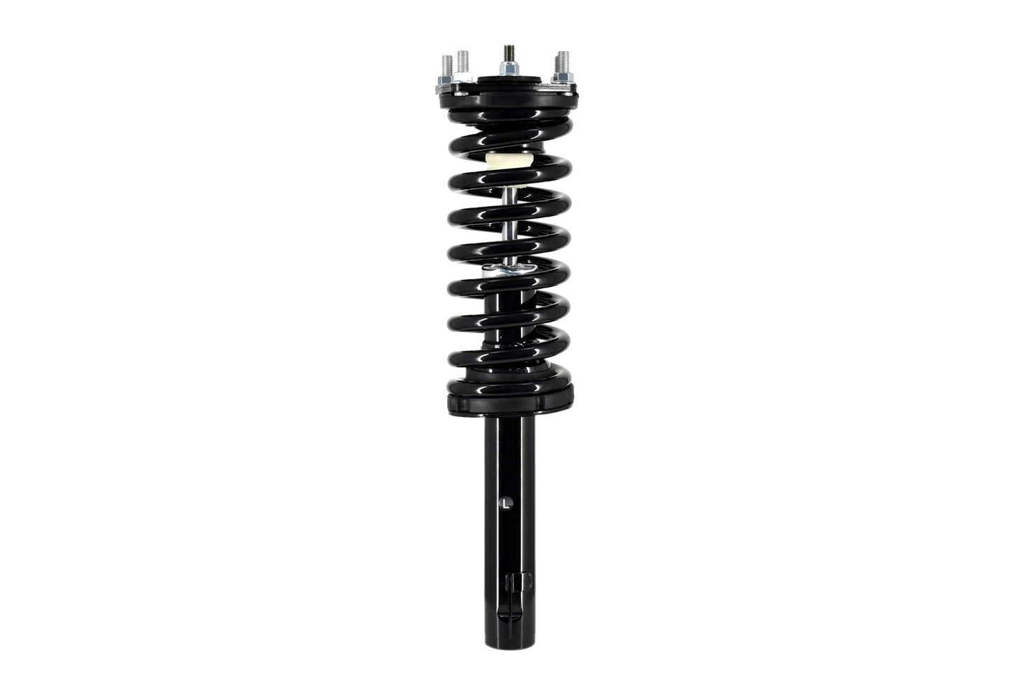 Focus Auto Parts Suspension Strut and Coil Spring Assembly 2335582L
