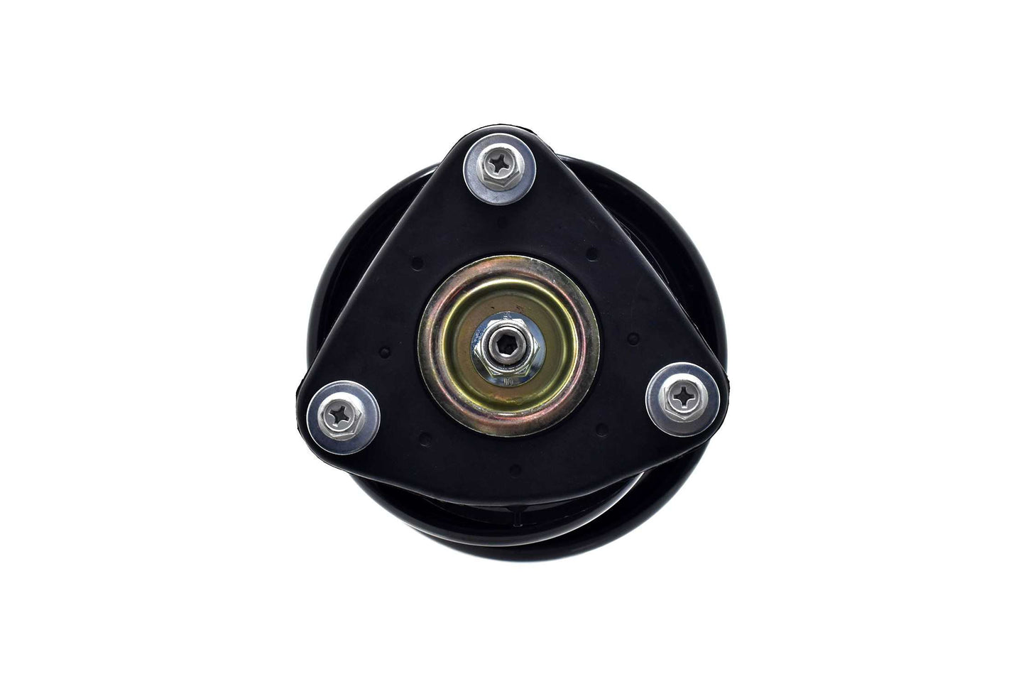 Focus Auto Parts Suspension Strut and Coil Spring Assembly 2335897L