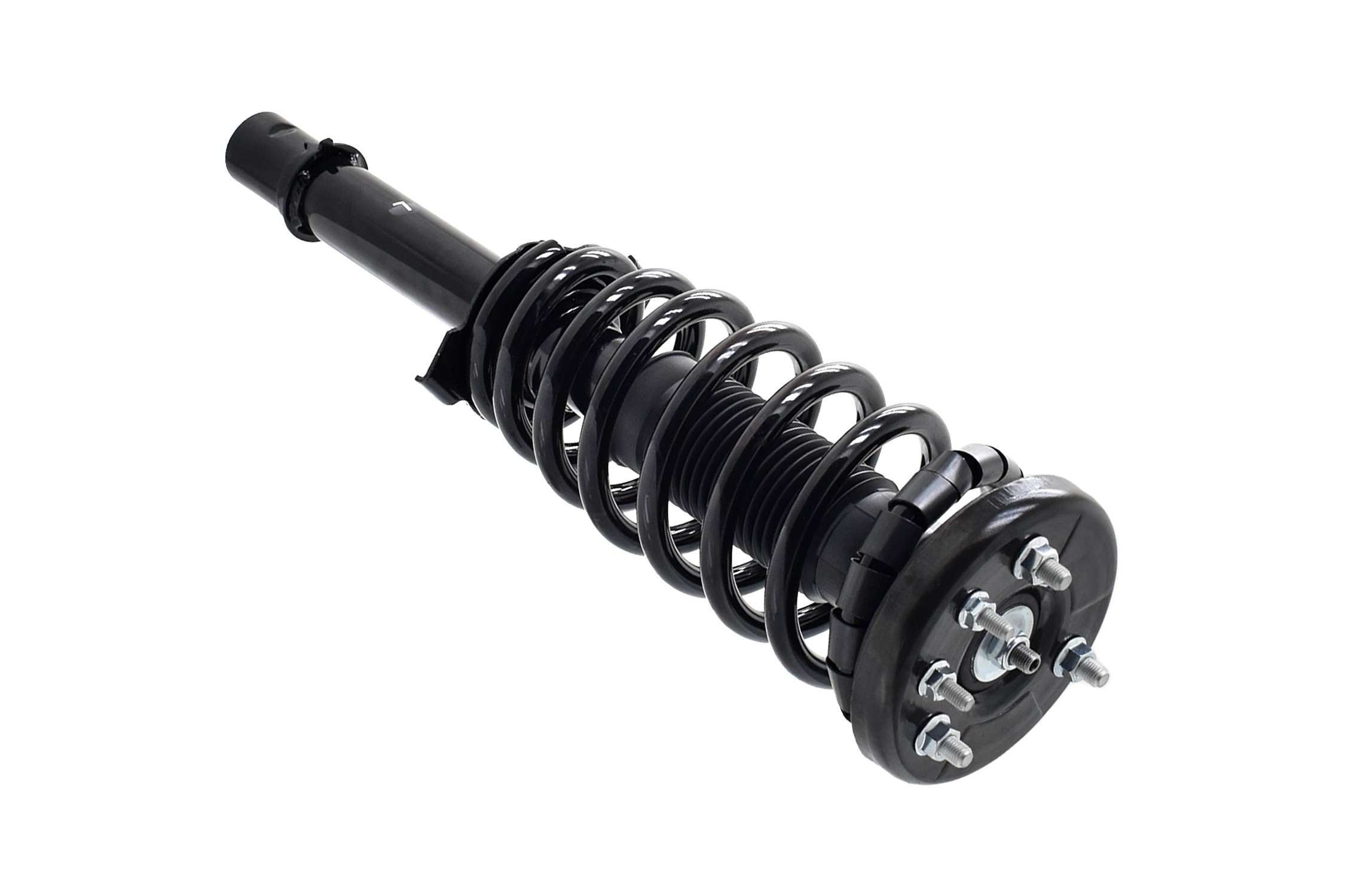 Focus Auto Parts Suspension Strut and Coil Spring Assembly 2336305L