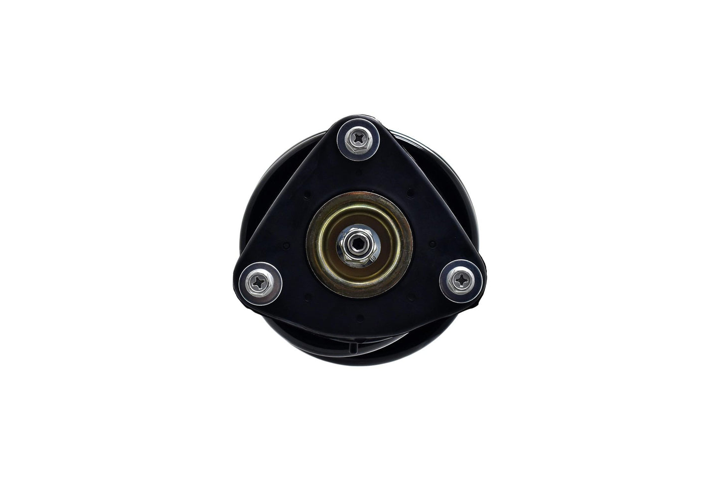 Focus Auto Parts Suspension Strut and Coil Spring Assembly 2336311R