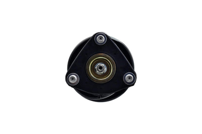 Focus Auto Parts Suspension Strut and Coil Spring Assembly 2336311R