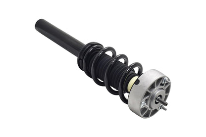 Focus Auto Parts Suspension Strut and Coil Spring Assembly 2337073