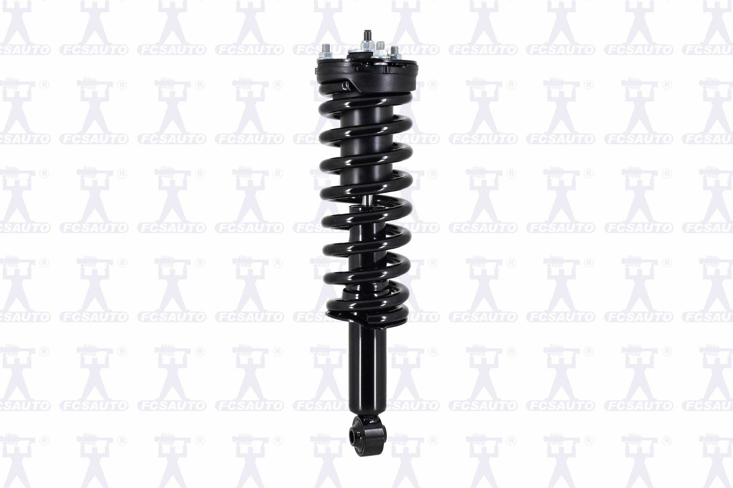 Focus Auto Parts Suspension Strut and Coil Spring Assembly 2345455