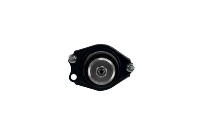 Focus Auto Parts Suspension Strut and Coil Spring Assembly 2345742R