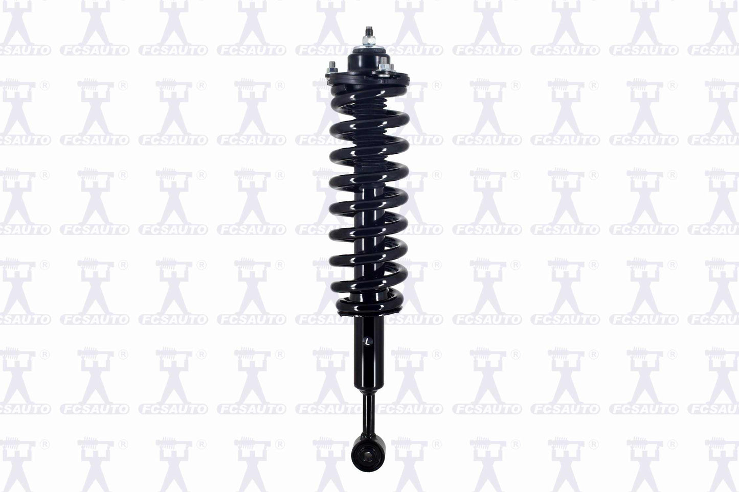 Focus Auto Parts Suspension Strut and Coil Spring Assembly 2345984L