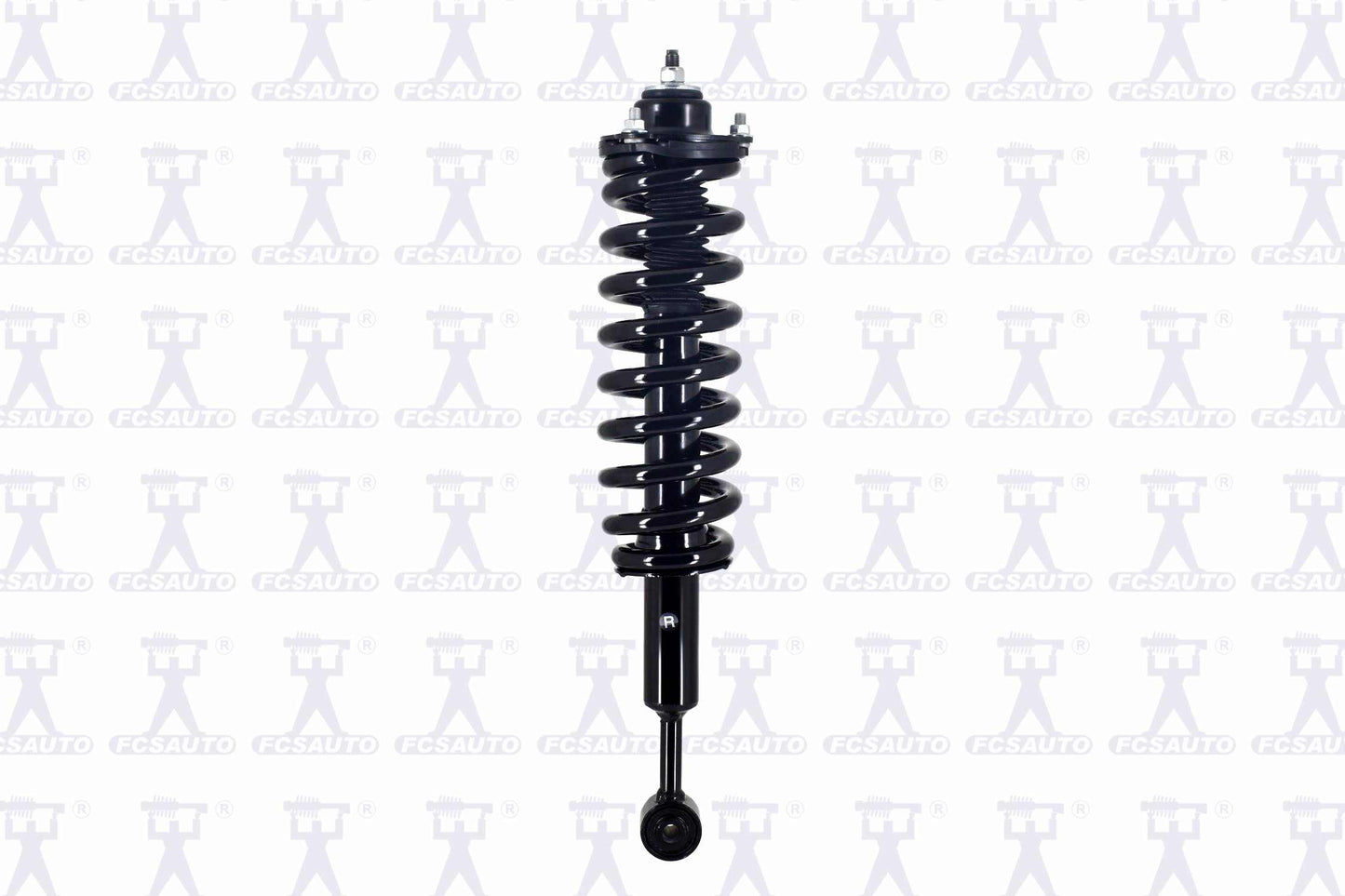 Focus Auto Parts Suspension Strut and Coil Spring Assembly 2345984R