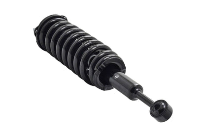 Focus Auto Parts Suspension Strut and Coil Spring Assembly 2355017L