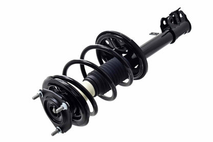 Focus Auto Parts Suspension Strut and Coil Spring Assembly 3331623L
