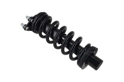 Focus Auto Parts Suspension Strut and Coil Spring Assembly 3336329L