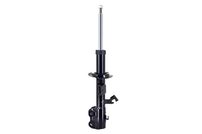 FCS Struts 334076L
