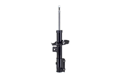 FCS Struts 334319L